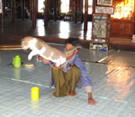Cat Jumping Monastery got its name