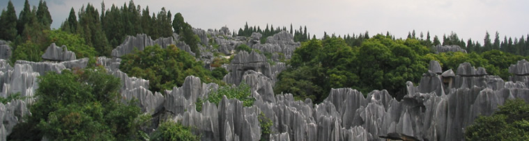 Stone Forest, near Kunming is one of geological wonders of China